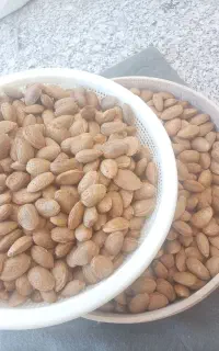 بادام بهدان