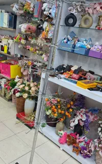 رگال اویز