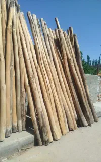 خرید فروش چوب سقفی سالم