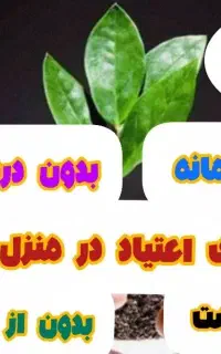 ترک ۳ روزه و ضمانتی مخصوص شاغلین