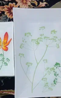 سرویس میوه خوری