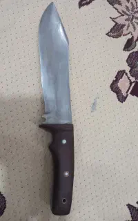 یک عدد