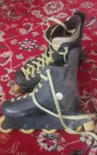 اسکیت درحدنو