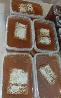 عسل طبیعی ارگانیک