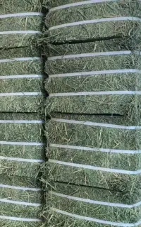 یونجه بسته بندی