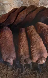 بره نر پرواری