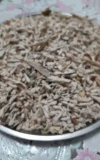 شکوفه سنجد