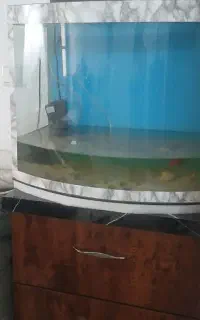 آکواریوم با وسایل
