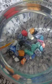 یک عدد ماهی قرمز