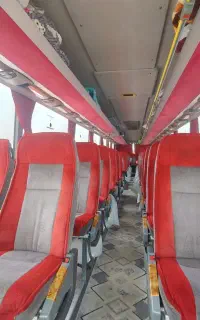 تور تفریحی