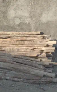 چوب