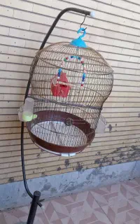 قفس با پایه سنگی