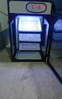 دستگاه جوجه کشی