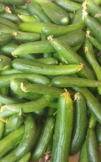 خیار درهم ریز خیارشوری