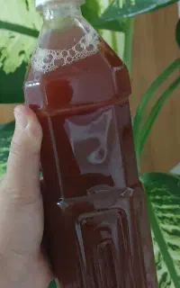 آبغوره امسالی درجه ۱