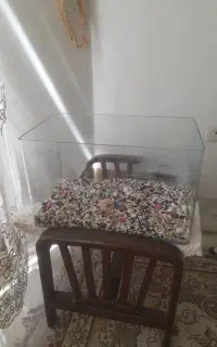 آکواریم با شن و ماسه