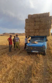 خرید فروش کاه و پرس