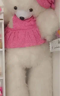 عروسک خرس بزرگ