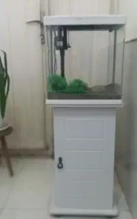 آکواریوم