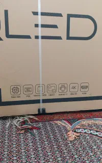 تلویزیون