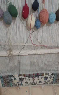 دار قالی یک ضرع نیم