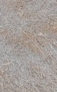 فروش کاه