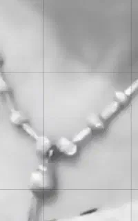 گمشده در اشیا