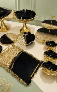 ظرف پذیرایی رزین