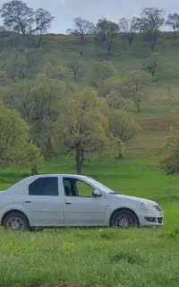 تندرنودپلاس