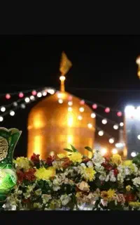 تور مشهد ویژه خرداد/پرداخت قسطی/منو انتخابی