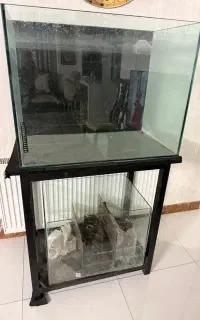 آکواریوم ریملس سامپ دار