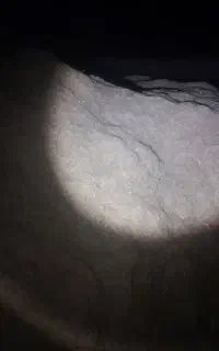 کاه گندم دیم فروشی
