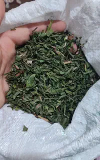 لیزک خالص ،به شرط