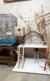 مجموعه کامل لوازم عروس هلندی، قفس،لانه و شهربازی