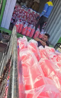 کپسول اتش نشانی