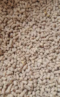 دانه پارس درجه ۱ عالی تضمینی