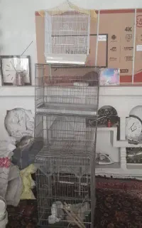 قفس ۳ طبقه