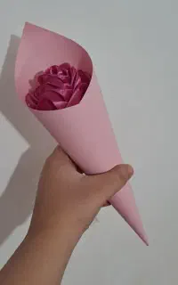 گل روبانی