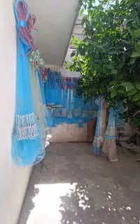 شکار بالا و مقاوم