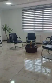 منشی خانم
