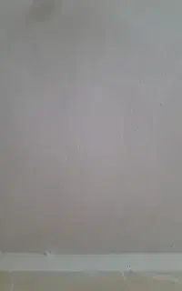 گچ کاری و لکه گیری
