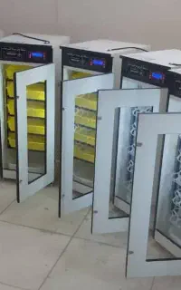 دستگاه جوجه کشی /با طراحی مناسب برای فضاهای کوچک