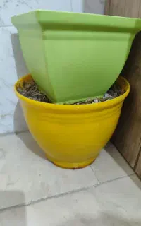 دوعدد گلدان آماده