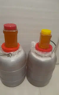 فروش عسل طبیعی
