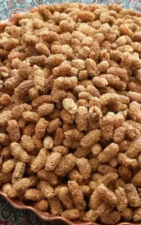 توت خشک درجه یک