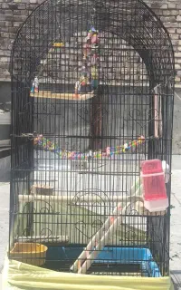 قفس پرنده