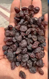 کشمش بیدانه تاکستان کد ۱۰۶
