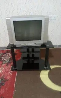 تلویزیون