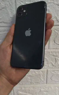 11 normal