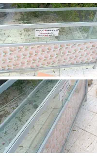 ویترین و رگال و اتاق پرو